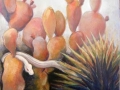 eason-eige_rare-white-specimen-agave-series