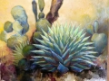 eason-eige_untitled-agave-one -agave-series
