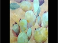 easoneige_untitled-I-cactus-series